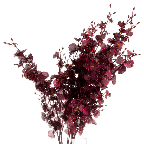deep burgundy orchid spray