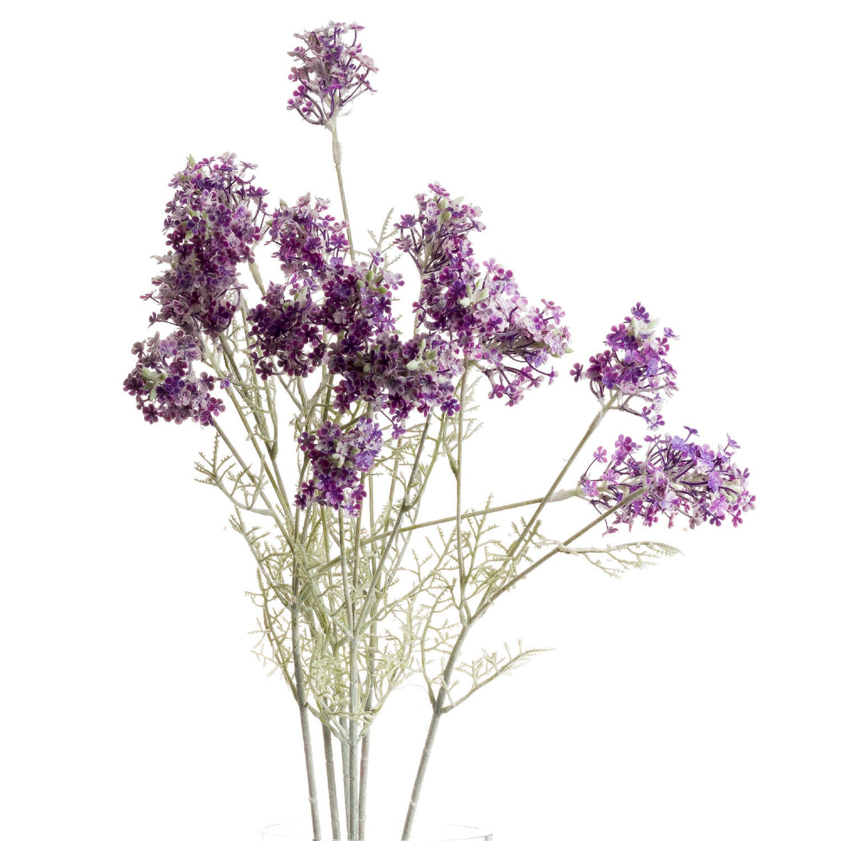 Mirabelle Purple Meadow Flower
