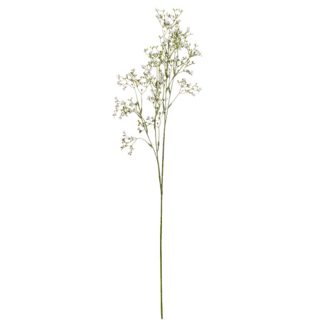 white gypsophila spray