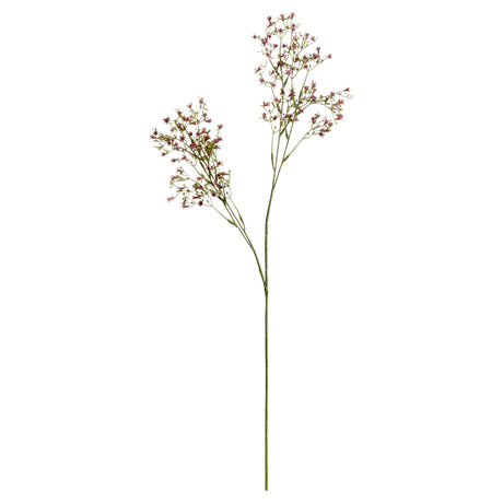 purple wildflower small spray