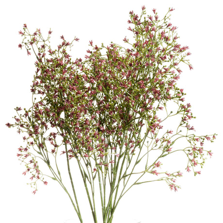 purple wildflower small spray