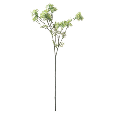 green plumb blossom spray