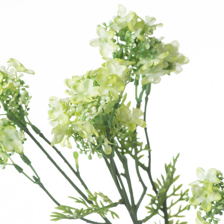 green plumb blossom spray