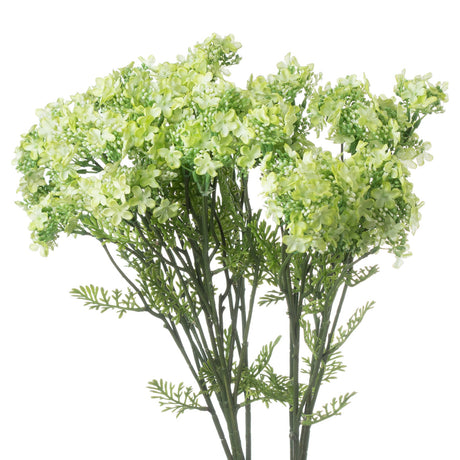 green plumb blossom spray