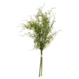 asparagus fern bunch