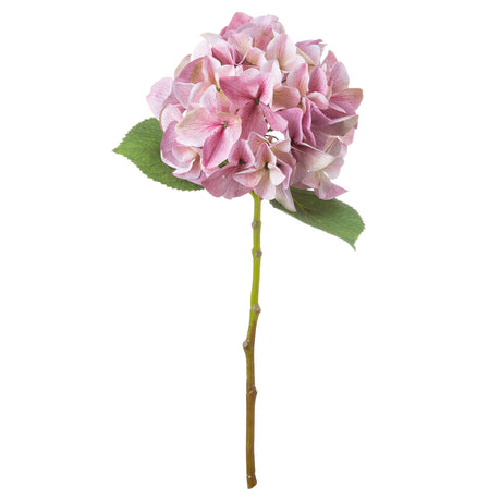 shabby pink single hydrangea