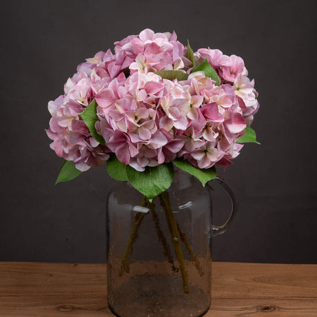 shabby pink single hydrangea