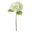 shabby green single hydrangea