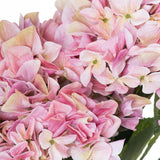 shabby pink hydrangea bouquet