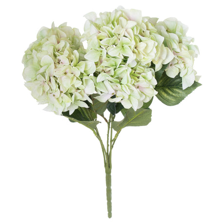 shabby green hydrangea bouquet