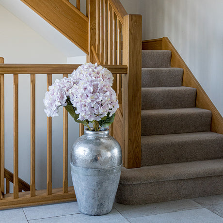 giant pink hydrangea