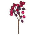 fat red berry pick
