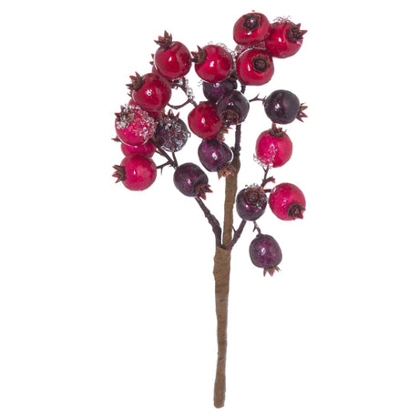 fat red berry pick