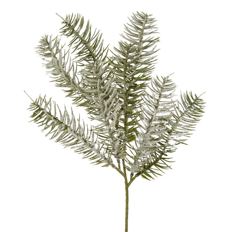 single snow pine spray