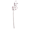 large red festive berry