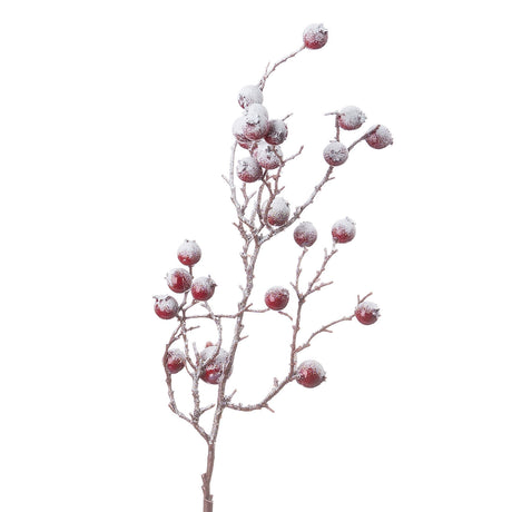 large red festive berry