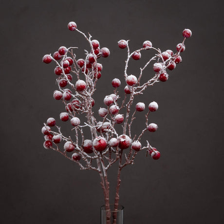 large red festive berry