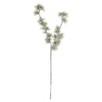 festive snow branch