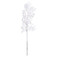 snowy branch