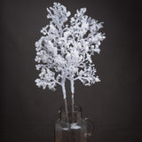 Violette Snowy Branch