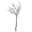 large branch spray