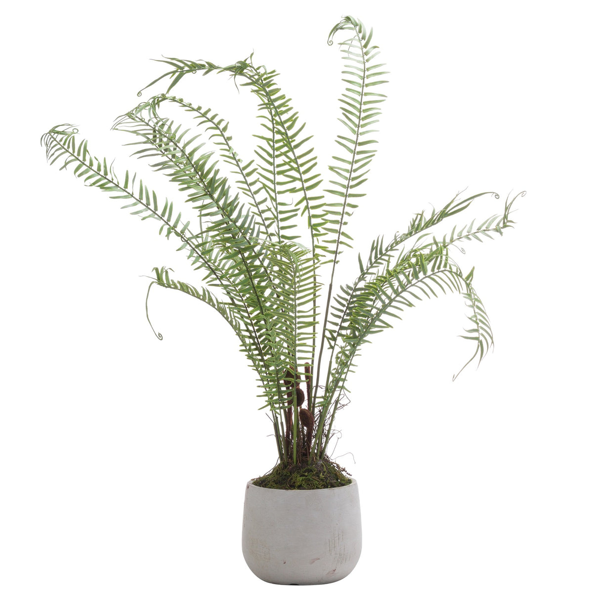 Aurelie Large Potted Fern