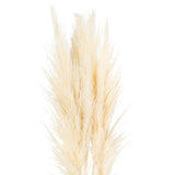 Margaux Cream Pampas Grass Stem