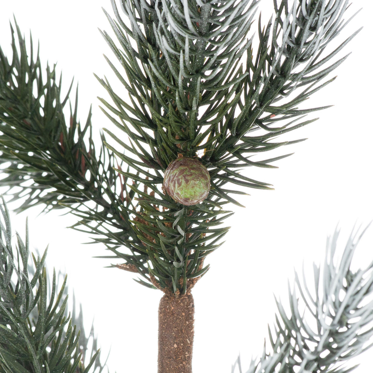 christmas fir tree in stone pot