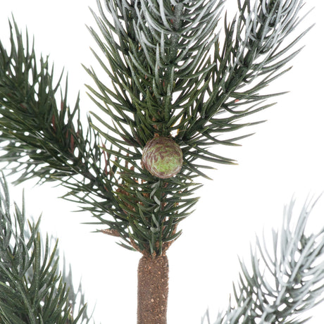 christmas fir tree in stone pot
