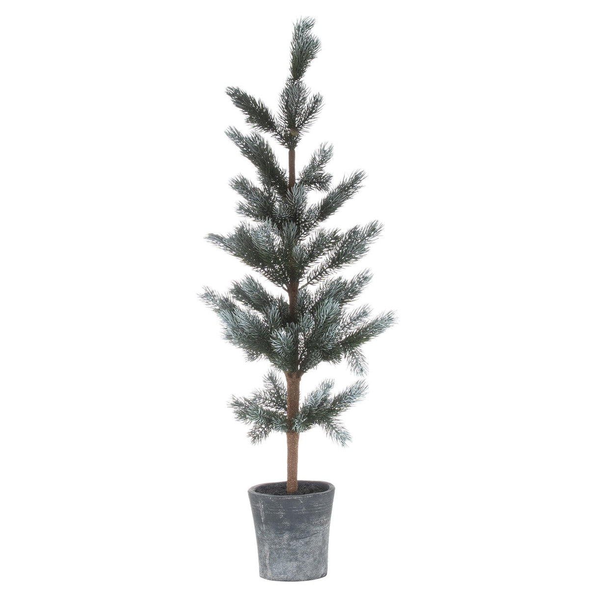 Felicite Fir Tree in Stone Pot