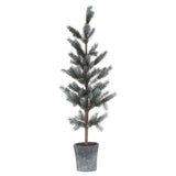 Felicite Fir Tree in Stone Pot