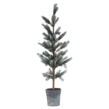 christmas fir tree in stone pot