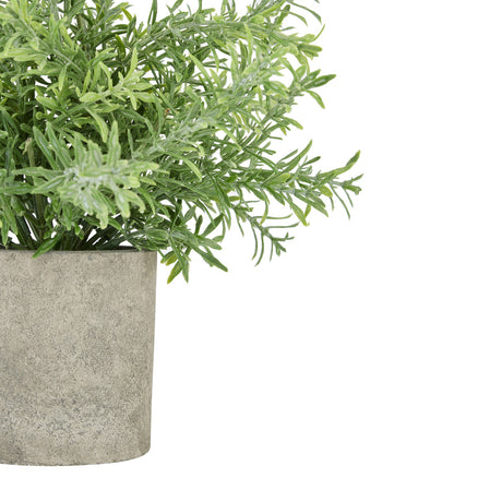rosemary plant in stone effect pot