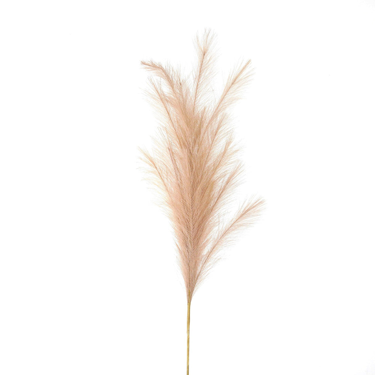 large faux pampas grass stem