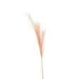 faux pampas grass stem