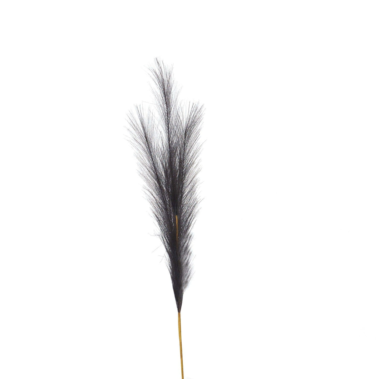 Zoe Grey Large Faux Pampas Grass Stem