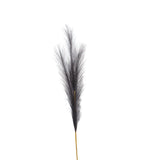 Zoe Grey Large Faux Pampas Grass Stem
