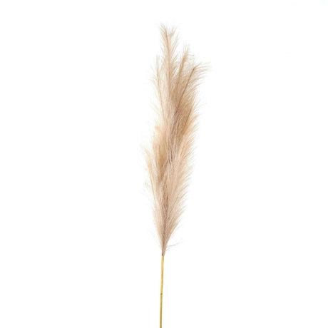 bleached large faux pampas grass stem