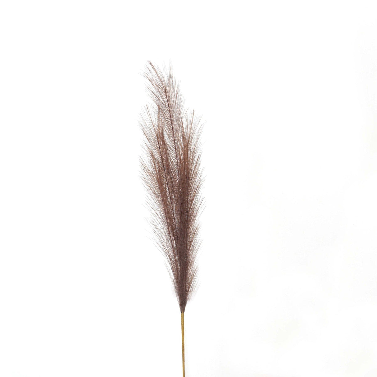 Daphne Taupe Large Faux Pampas Grass Stem