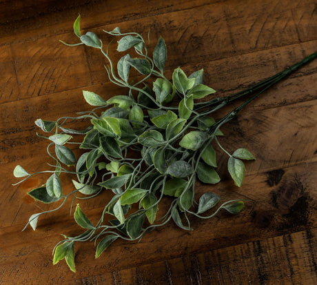 green shoots greenery bunch