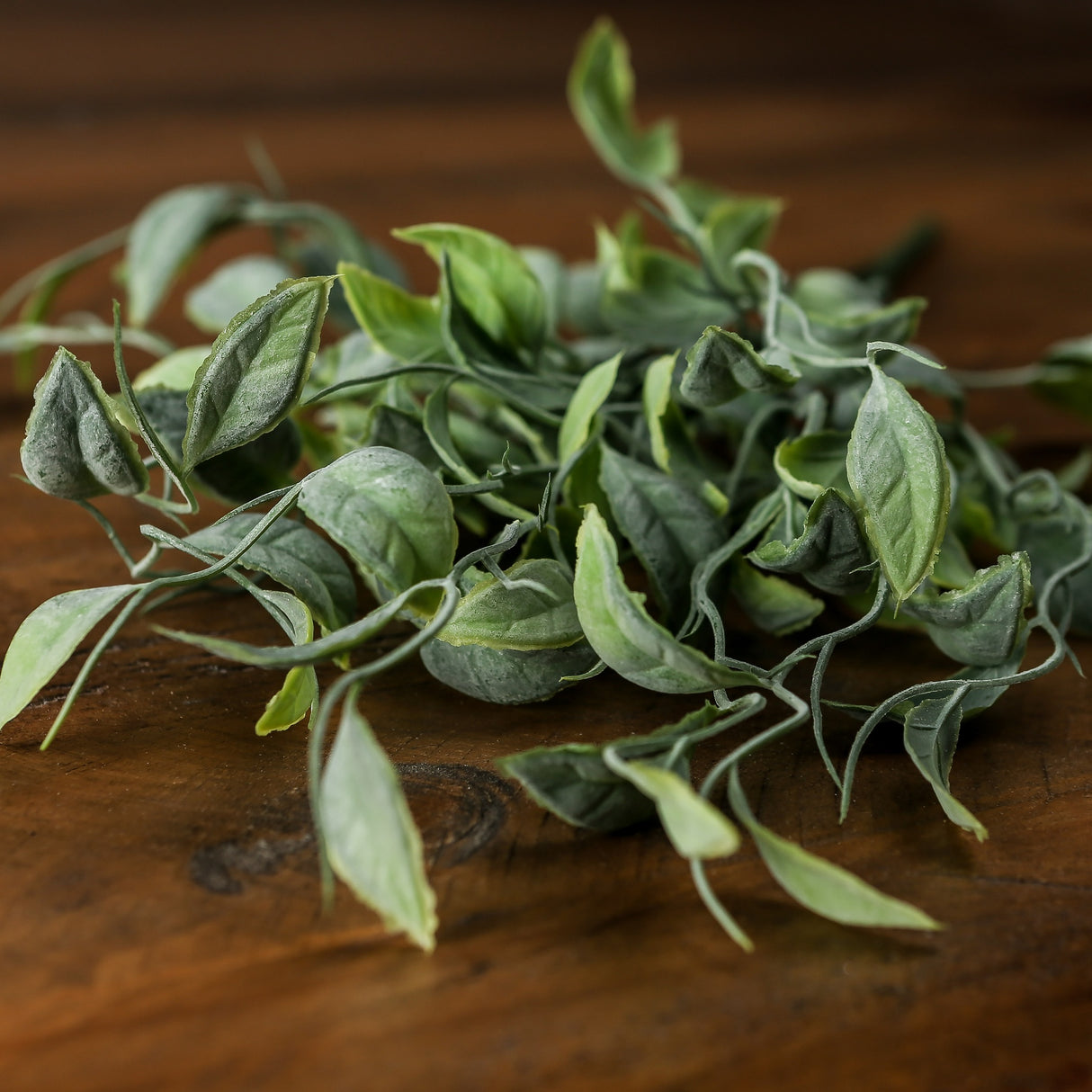 green shoots greenery bunch