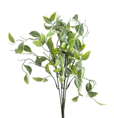 green shoots greenery bunch