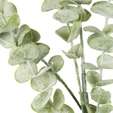 gunnii eucalyptus spray