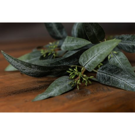 seeded eucalyptus spray