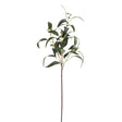 seeded eucalyptus spray
