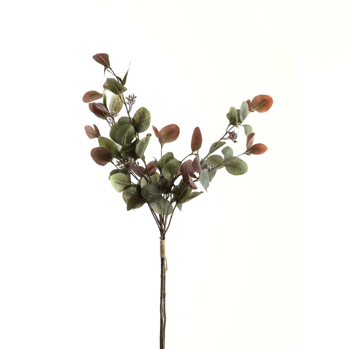 variegated eucalyptus bouquet