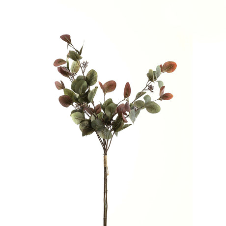 variegated eucalyptus bouquet
