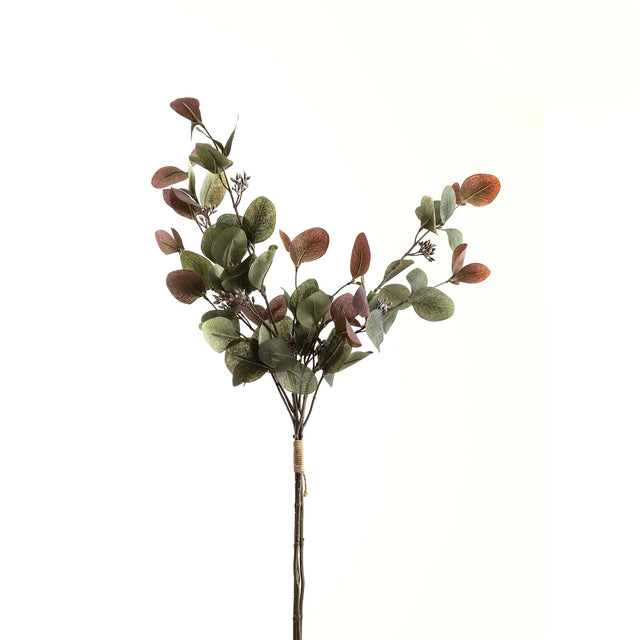 variegated eucalyptus bouquet