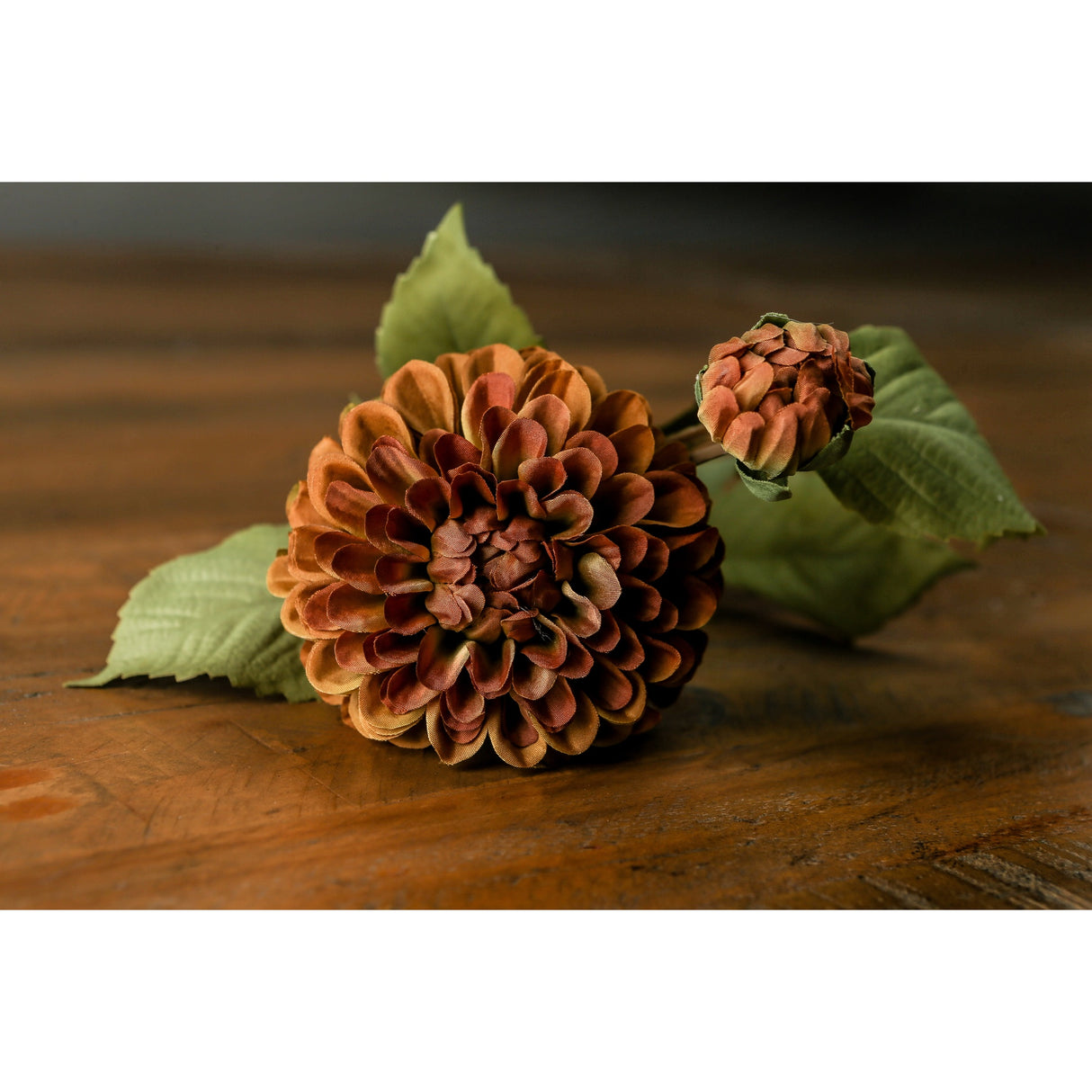 deep mustard dahlia stem