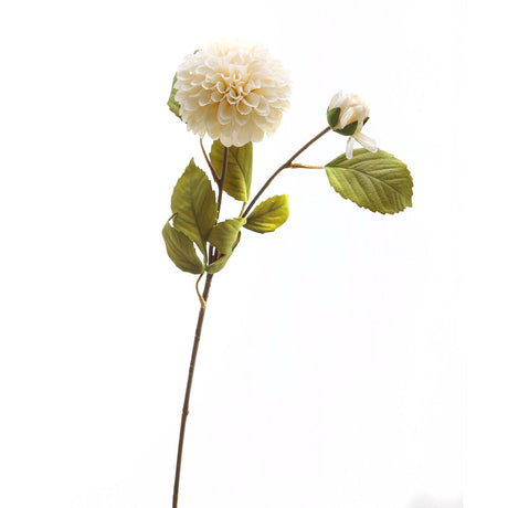 white dahlia stem